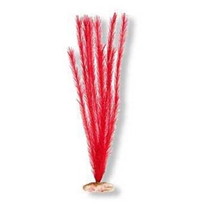 Blue Ribbon Presents Plant-Soft Foxtail (Red) Mini. Plant - Soft Foxtail X-Lg Flame Red [33310]
