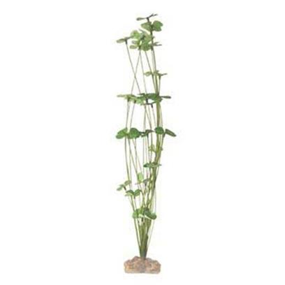 Instant Ocean-Aquarium Systems Presents Instant Ocean-Aquarium Systems (Io) Seagarden Fw 4lf Clover Large (Lg). 15' Seagarden 4-Leaf Clover Seagarden Aquarium Dcor is an Extensive Selection of Synthetic Plants that Bring the Beauty of the World's Oceans to Dazzling Life in your Aquarium. Features Completely Safe for Freshwater and Marine Aquariums. Each is Attached to a Weighted Resin-Rock Base that Closely Resembles Actual Coral Rock. Requires Very Little Maintenance. [33344]
