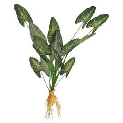 Instant Ocean-Aquarium Systems Presents Instant Ocean-Aquarium Systems (Io) Seagarden Fw Cryp Wendt Large (Lg). 15" Seagarden Cryptocryne Wendtii Seagarden Aquarium Dcor is an Extensive Selection of Synthetic Plants that Bring the Beauty of the World's Oceans to Dazzling Life in your Aquarium. Features Completely Safe for Freshwater and Marine Aquariums. Each is Attached to a Weighted Resin-Rock Base that Closely Resembles Actual Coral Rock. Requires Very Little Maintenance. [33346]