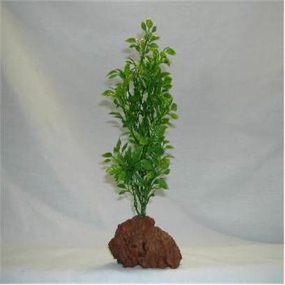 Rocky Mountain Plants Presents Rocky 1 Green Lava Plant #Rm-2 Medium 9'-10' on Rock. Mounted on Solid Weighted Bases Make these Plants Suitable for the Aquarium or Terrarium. Green Eel Grass 12"-13" on White Rock. Green 9"-10" [33372]