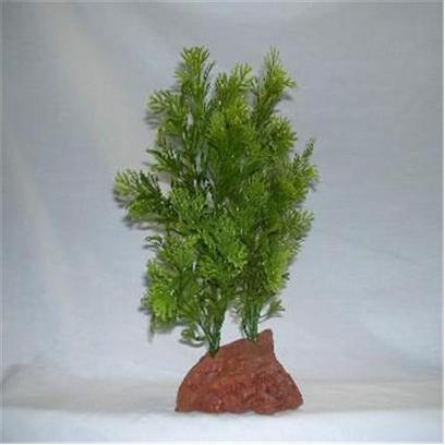 Rocky Mountain Plants Presents Rocky 2 Green Lava Plant #Rm-5 Double Medium 9-10' on Rock. Mounted on Solid Weighted Bases Make these Plants Suitable for the Aquarium or Terrarium. Green Eel Grass 12"-13" on White Rock. Green 9"-10" [33377]