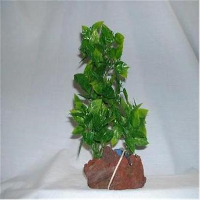 Rocky Mountain Plants Presents Rocky Air Green Lava 2 Plants #Mb-1 Aerating Double Plant 9-10' on Rock. Mounted on Solid Weighted Bases Make these Plants Suitable for the Aquarium or Terrarium. Green Eel Grass 12'-13' on White Rock. Green 9'-10' [33380]
