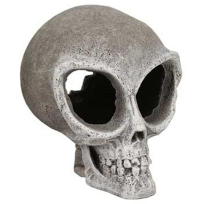 Blue Ribbon Presents Blue Ribbon (Br) Alien Skull Small Skull-Small. Alien Skull Small - do Aliens Really Exist??? - this Eerie Rare Skull will Make Anyone Ask...Is it Real? Looks that Way, but They'll Never Know! Provides a Great Place for Fish to Explore. [33829]