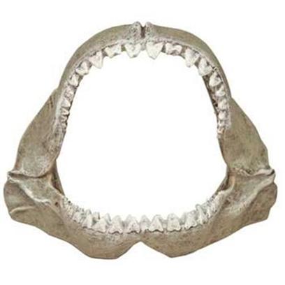 Buy Great White Shark products including Great White Shark 5.5'' X 4.5'' 4'', Blue Ribbon (Br) Great White Shark Jaws Small (Sm) Category:Castles & Ruins Price: from $7.99