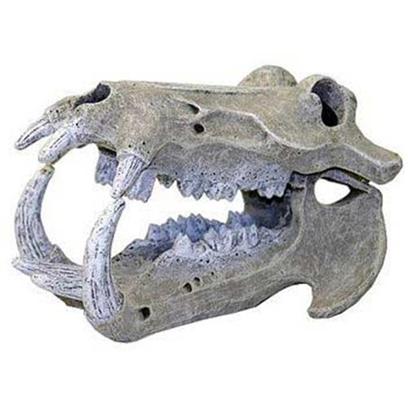 Blue Ribbon Presents Blue Ribbon (Br) Hippo Skull Resin Ornament-Hippo Large. Ablee356 Reaslitically Hand-Textured and Life-Like Small Hippo Skull - Safe for all Aquariums & Terrariums 3 X 5 X 3.5 [33927]