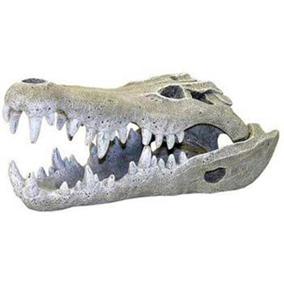 Blue Ribbon Presents Blue Ribbon (Br) Nile Crocodile Skull Large. Ablee354 Reaslitically Hand-Textured and Life-Like Small Niles Crocodile Skull - Safe for all Aquariums & Terrariums 3 X 6 X 2.5 [33996]