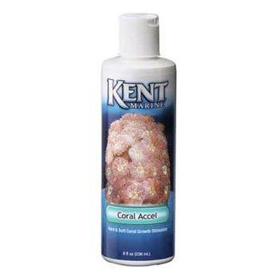 Kent Marine Presents Kent Marine (Kent) Coral Accel 64oz (1/2gallon). Shake Well Immediately Before Use, Important Invertebrate Foods should be Used Sparingly in a Marine Aquarium, to Prevent Loss of Water Quality! Shake Well Immediately Prior to Use Add 1 to 2 Teaspoons Per 50 Gallons Daily Depending on Animal Load (1 Capful from 8 or 16 Oz. Bottle, or 5 Ml = 1 Teaspoon) in an Area of High Water Flow. For Best Results, see Use and Interaction Section on Opposite Sidebar. (Tip Nitrite Testing will Warn of Overdosing.) Target Method Individual Animals may be Targeted with this Product and this is the Most Efficient Method. It also Causes Less Pollution in the Aquarium. To do this, Purchase a Plastic Syringe at any Drug Store. Fill the Syringe with Kent Coral Accel and Dispense, as Necessary where the Product will Flow over the Animal. Do not Touch the Animal with the Syringe. Do not Contaminate this Product with Aquarium Water by Inserting Syringe into this Container! [34392]