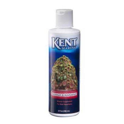 Kent Marine Presents Kent Marine (Kent) Strontium & Molybendum 16oz. Description Strontium & Molybdenum Supplement Provides Bio-Available Strontium for Lush Growth of Purple, Pink and Green Calcareous Algaes, Snails, Hard Tube Worms and Clams. Magnesium is Added to Make Up for Deficiencies in some of the Newer Brands of Sea Salt Mixes. Potassium & Molybdenum are Added to Assist the Symbiotic Algae Growing in Coral and Other Invertebrates Tissues. Corals will Open More and Stay Attached to their Skeletons Better, with Regular Use. Phosphate & Nitrate Free! Contains no Gluconates, Edta, or Other Organics to Raise Doc Levels, as Many Competing Products Do. For Best Results, Use Kent Kalkwasser Mix, or Concentrated Liquid Calcium First. [34445]