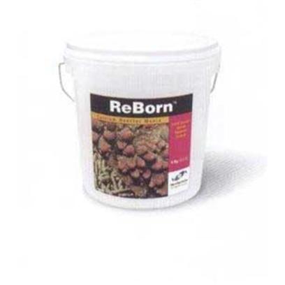 Buy Co2 Reactor products including Red Sea Co2 Reactor 500, Kent Marine (Kent) Liquid Reactor 16oz, Red Sea Co2 Pr0 System Pro Standard, Tlf Reborn Cal Reactor 8.8lb Calicium Category:C02 Accessories Price: from $16.99