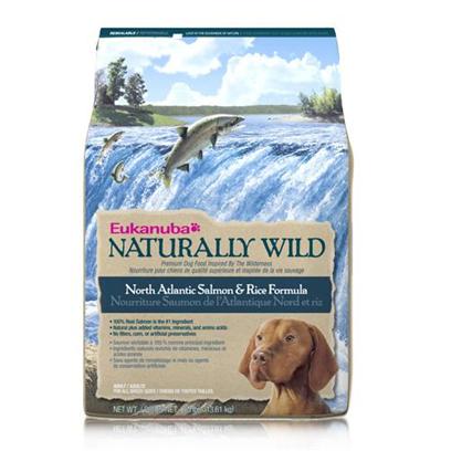 P&G Presents Eukanuba Dog Naturally Wild Salmon/Rice 30lb Bag. A Healthy Meal Designed for your Dog's Nutrient Needs, Eukanuba's Dog Food is Packed with all the Nutrients Needed to Keep your Dog Healthy and Strong. Made from only Trusted Ingredients, Eukanuba Presents Formulas that Fit the Needs of Dogs of all Different Ages and Breeds. Available in Great Flavors Like Wild Salmon, Lamb, Wild Turkey, Wild Venison and Rice, there is a Meal for Every Dog! Delicious and Nutritious, Eukanuba's Dog Foods are Carefully Made to Delight Taste Buds. A Great Way to Spoil your Pet, Eukanuba's Dog Food will Surely Make your Pet Wag his Tail for More. Primary Protein Source Salmon Primary Carb Source Salmon Analysis Crude Protein Minimum 23.00 %Crude Fat Minimum 14.00 %Crude Fiber Maximum 4.00 %Moisture Maximum 10.00 %Vitamin E Minimum 140 Iu/Kgomega-6 Fatty Acids Minimum 2.00 %*Omega-3 Fatty Acids Minimum 0.40 %**not Recognized as an Essential Nutrient by the Aafco Dog Food Nutrient Profiles [36297]