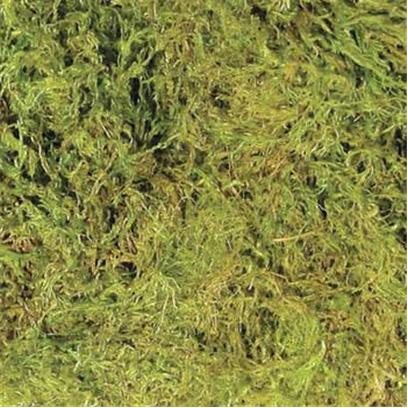 Zoo Med Laboratories Presents Zoo Green Terrarium Moss-Large (15 to 20gal). Completely Natural Moss Cage Substrate for Amphibians and Wetland Environment Reptiles. Great for Use in Humidifying Shelters for all Types of Reptiles and Amphibians. Excellent for Use as an Egg-Laying and Incubation Medium for a Variety of Reptiles. Available in 5 Sizes Including a Mini Compressed Bale Size for Multiple Terrariums. [36553]