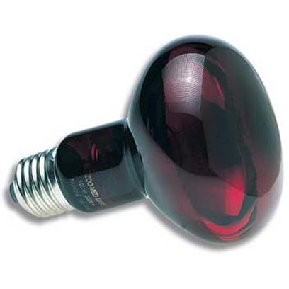 Zoo Med Laboratories Presents Zoo Infrared Inc Nocturnal Bulb 50watt Nocturnal. True Red Glass, not Painted or Coated! Zoo Med's Spot Reflector Focuses More Heat into your Enclosure and Minimizes Nighttime Glare. Ideal 24 Hour Heat Source for all Types of Reptiles, Amphibians, Birds, or Small Animals. Very Little Visible Light Provided so as not to Disturb your Animal's Sleep Patterns. Excellent for Nocturnal Viewing of all Types of Captive Animals. [36699]