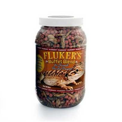 Buy Fluker Juvenile Bearded Dragon Diet products including Fluker Juvenile Bearded Dragon Diet 4oz, Fluker Juvenile Bearded Dragon Diet 7oz, Fluker Juvenile Bearded Dragon Buffet Blend 4oz, Fluker Juvenile Bearded Dragon Buffet Blend 8oz Category:Pet Supplies Price: from $2.99