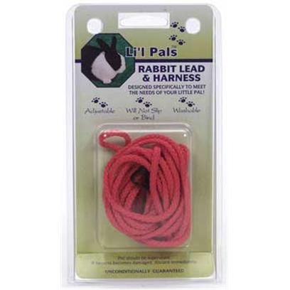 Buy Comfort Harness for Pets products including Four Paws Comfort Control Harness-Black Large, Four Paws Comfort Control Harness-Black Small, Four Paws Comfort Control Harness-Black Medium, Four Paws Comfort Control Harness-Blue Large, Four Paws Comfort Control Harness-Blue Small Category:Harnesses Price: from $4.99