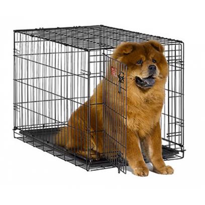 Midwest iCrate Single Door Folding Dog Crate