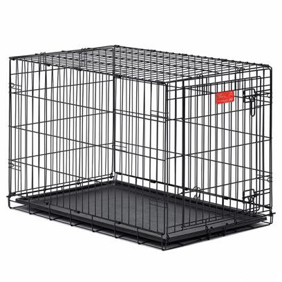 MidWest Life Stages Single Door Dog Crate