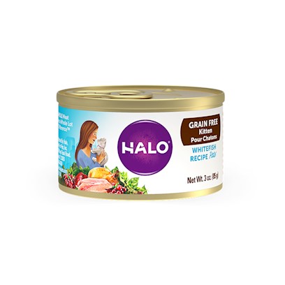 Halo Kitten Grain Free Whitefish Recipe Pate Canned Cat Food