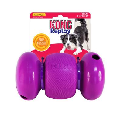 KONG RePlay Dog Toy