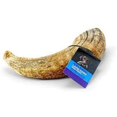 Icelandic+ X-Large Lamb Horn Dog Treat