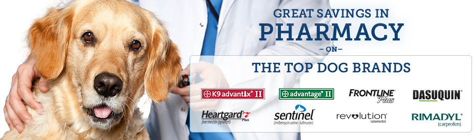 asda pharmacy flea treatment