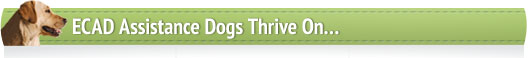ECAD Assistance Dogs Thrive On...