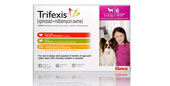 Trifexis for Dogs