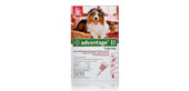 Advantage II  for Dogs