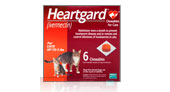 Heartgard for Cats