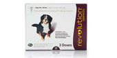 Revolution for Dogs