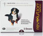 Revolution for Dogs