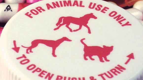 A Medication Bottle Cap That Says For Animal Use Only