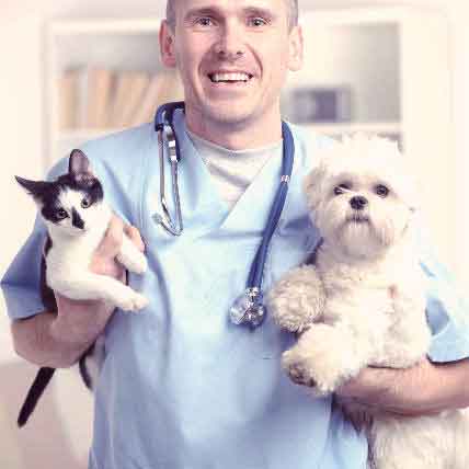 7 Pet Symptoms That Require Vet Attention