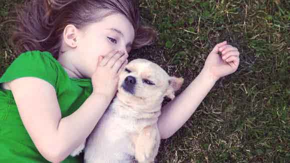 Little Girl Laying In The Grass Whispering In Her Dog's Ear