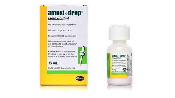 Amoxi Drops (Trimox Generic) Antibiotic for Dogs and Cats PetCareRx