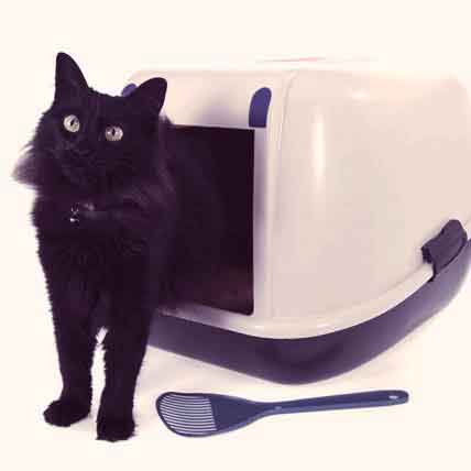 2 Bowls Kitten Litter Tray Scoop Box Pan Toilet Loo Cat Feed Anti-Spill 