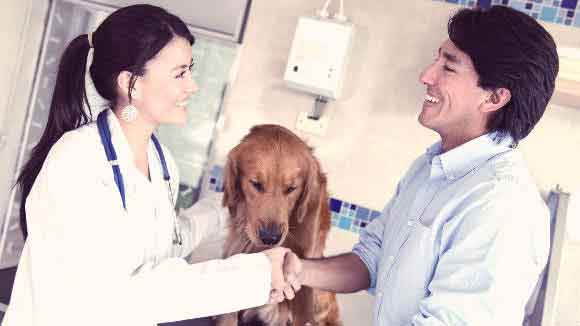 A Man Shaking Hands With A Veterinarian As She Pets His Dog