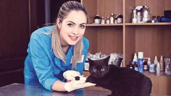 female veterinarian with a black cat