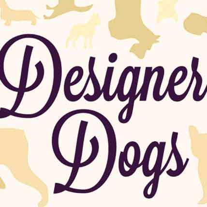 Image for Popular Designer Dog Breeds Facts