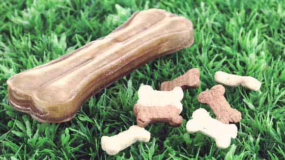 Best dog best sale bone treats