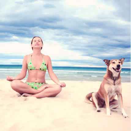 What is Doga?