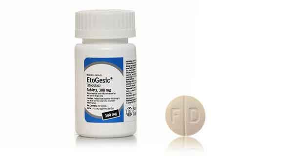 Etodolac (Etogesic for Dogs) Dog Arthritis Medicine PetCareRx
