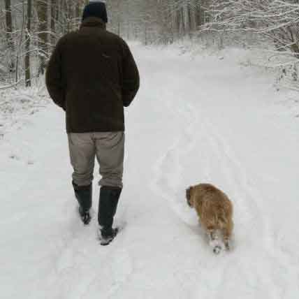 Image for Pet Euthanasia: What to Expect