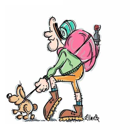 An In-Depth Guide to Hiking With Your Dog 