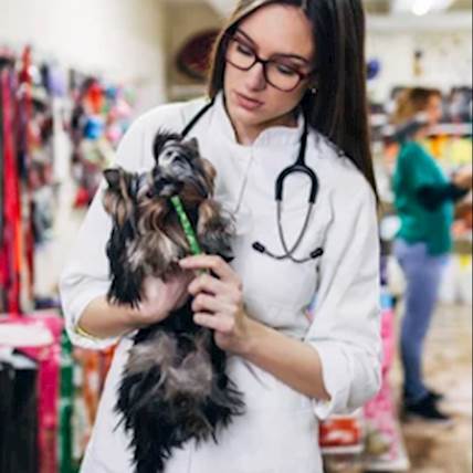 Pet Pharmacy 