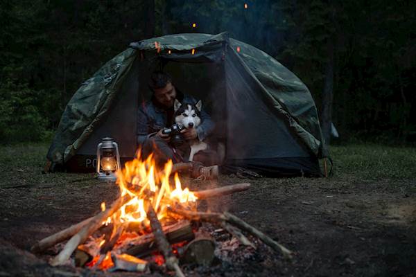 Going Camping with Your Dog? Don’t Forget to Take These Things with you. 