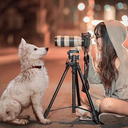 How to Get the Perfect Shot of Your Pet