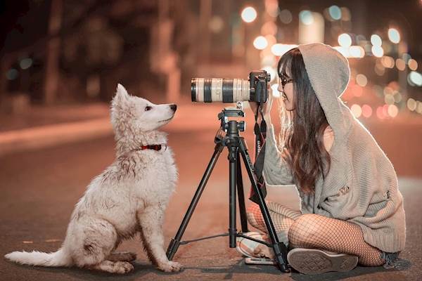 How to Get the Perfect Shot of Your Pet