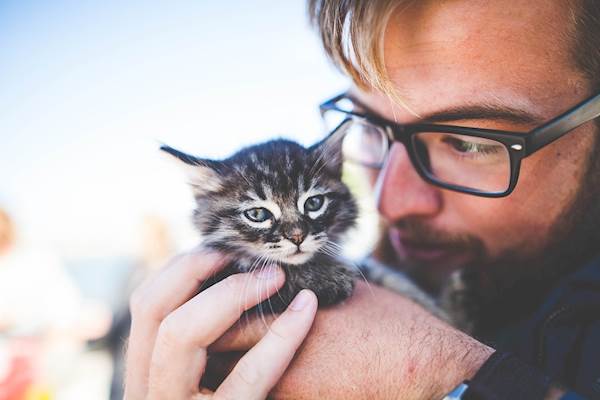 Our Furry Friends: Pet Care - A Healthcare Provider Advising on How to Care For Your Pets