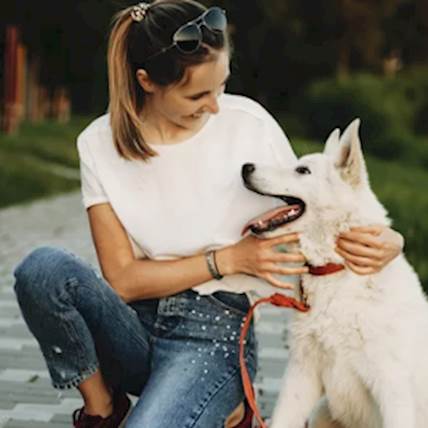 Send A Message With A Whistle To Your Dog