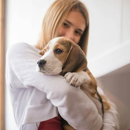 Understanding Cranberry Supplements: A Guide for Dog Owners